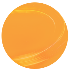 orange circle