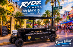 Rydz